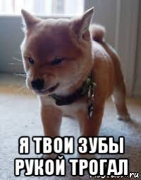  я твои зубы рукой трогал