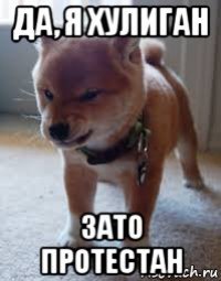 да, я хулиган зато протестан