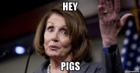 hey pigs