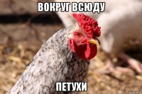 вокруг всюду петухи