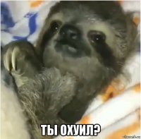  ты охуил?