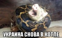  украина снова в котле