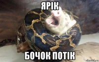 ярiк бочок потiк