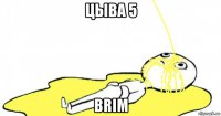 цыва 5 brim