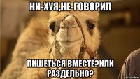 ни-хуя,не-говорил пишеться вместе?или раздельно?
