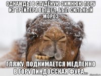 однажды в студёную зимнюю пору из трейлера вышел, был сильный мороз гляжу, поднимается медленно в гору пиндосская фура...