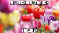 до весны осталось 110 дней
