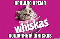 пришло время кошачный шhiskas