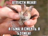 отпусти меня! я тьма, я смерть, я бэтмен!