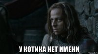  у котика нет имени