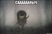 сааааааныч 