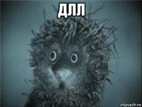 длл 