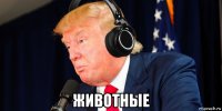  животные