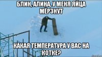 блин, алина, у меня яйца мёрзнут какая температура у вас на котке?
