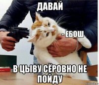 давай в цыву сёровно не пойду