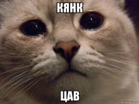 кянк цав