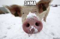 зима 