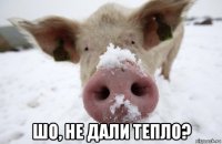  шо, не дали тепло?