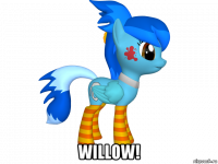 willow!
