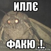 иллє факю .!.