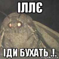 іллє іди бухать .!.