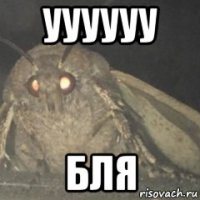 уууууу бля