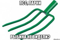 псс, парни рыбина не видели?