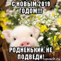 с новым 2019 годом!!! родненький, не подведи!