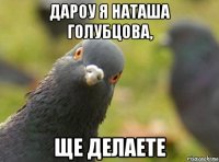 дароу я наташа голубцова, ще делаете