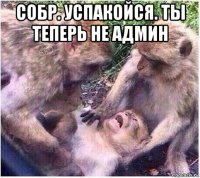 собр. успакойся. ты теперь не админ 