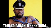  только панды и никитины...