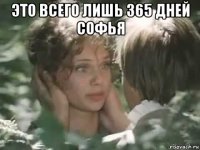это всего лишь 365 дней софья 