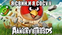 я свин,и я сосу у angry birds