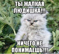 ты жалкая людишка!!! ничего не понимаешь!!!
