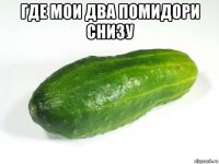 где мои два помидори снизу 
