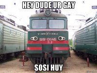 hey dude ur gay sosi huy