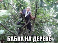  бабка на дереве