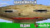 какой милый педик