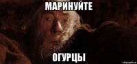 маринуйте огурцы