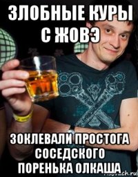 злобные куры с жовэ зоклевали простога соседского поренька олкаша