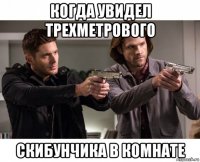 когда увидел трехметрового скибунчика в комнате