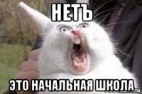 нетъ это начальная школа