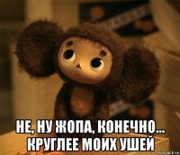  не, ну жопа, конечно... круглее моих ушей