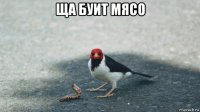 ща буит мясо 