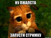 ну пжалста запусти стримку