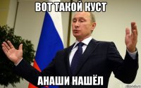вот такой куст анаши нашёл