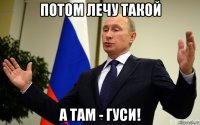 потом лечу такой а там - гуси!