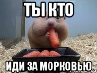 ты кто иди за морковью