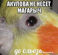 акулова не несет магарыч 