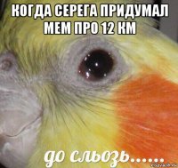 когда серега придумал мем про 12 км 